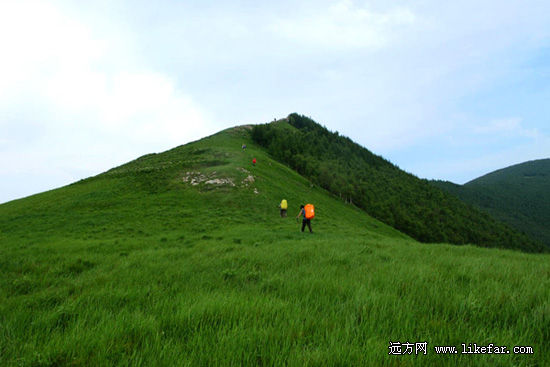 苍翠的山峰 作者：电台情歌